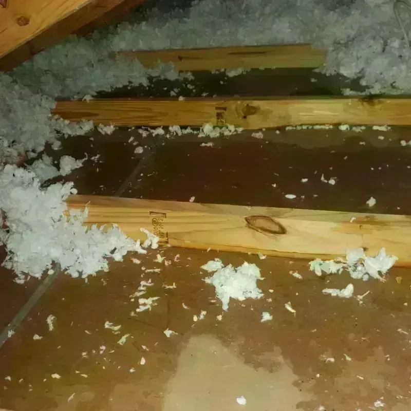 Attic Water Damage in Montpelier, VT